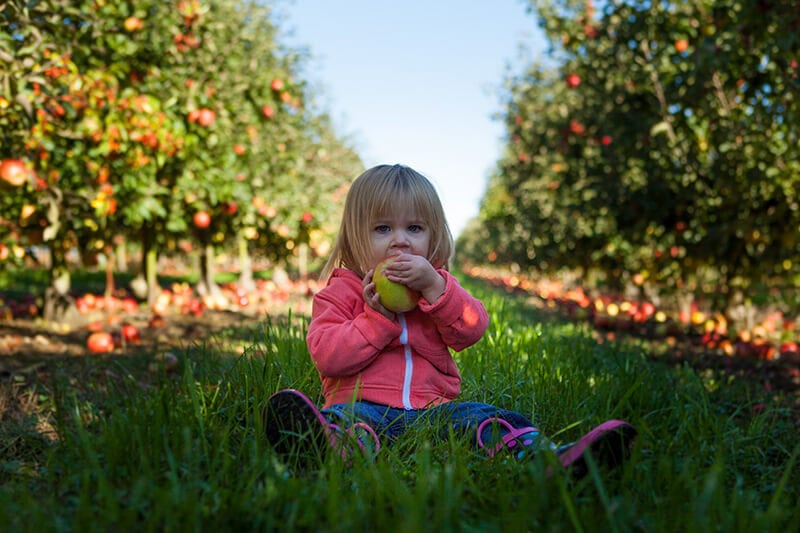 female child sitting with legs straight out in front of her eating an apple